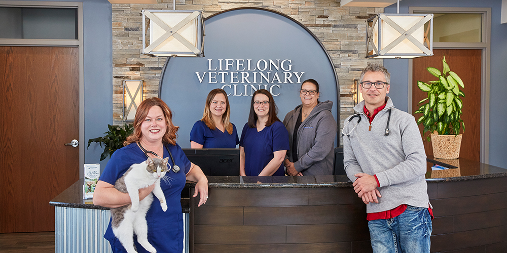 Lifelong Vet Clinic Image